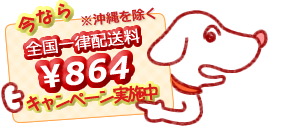 送料一律キャンペーン